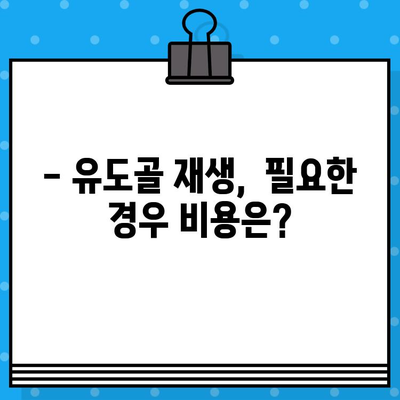 임플란트 수술 가격과 유도골 재생 절차 비용 완벽 가이드 | 임플란트, 유도골 재생, 비용, 가격, 정보