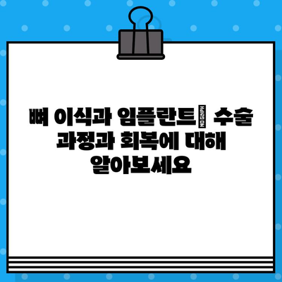 뼈 이식과 임플란트| 수술 절차, 비용, 그리고 성공적인 결과를 위한 가이드 | 임플란트, 치과, 뼈 이식, 치료