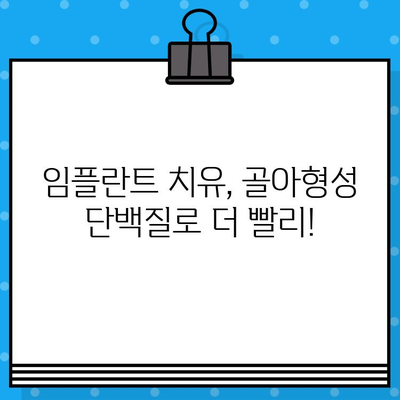 임플란트 치유 촉진, 골아형성 단백질 적용의 효과| 더 빠르고 안정적인 결과를 위한 선택 | 임플란트, 치유, 골아형성 단백질, 치과