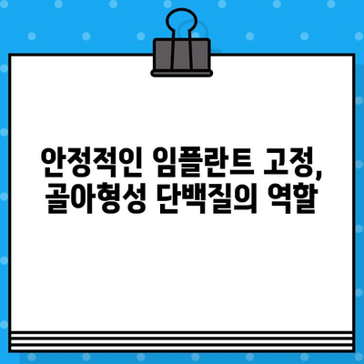 임플란트 치유 촉진, 골아형성 단백질 적용의 효과| 더 빠르고 안정적인 결과를 위한 선택 | 임플란트, 치유, 골아형성 단백질, 치과