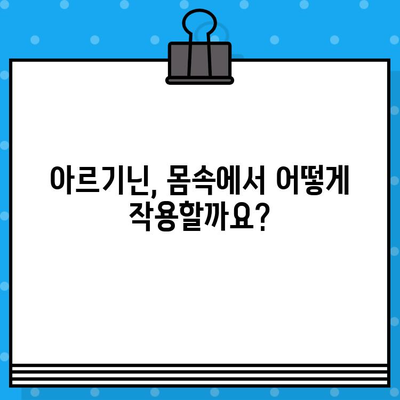 아르기닌 효능, 제품 비교, 기전 분석| 건강 증진을 위한 선택 가이드 | 아르기닌 보충제, 운동, 면역, 심혈관 건강