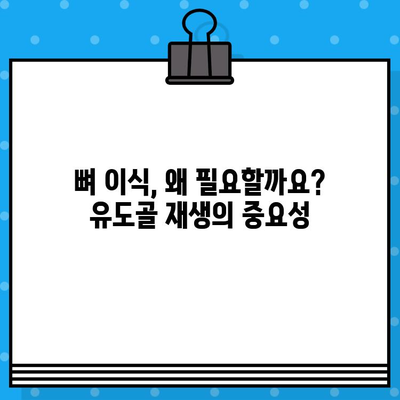 임플란트 성공을 위한 필수 과정, 유도골 재생의 모든 것 | 임플란트, 치과, 뼈이식, 골이식, 치료