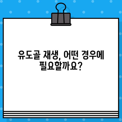 임플란트 성공을 위한 필수 과정, 유도골 재생의 모든 것 | 임플란트, 치과, 뼈이식, 골이식, 치료