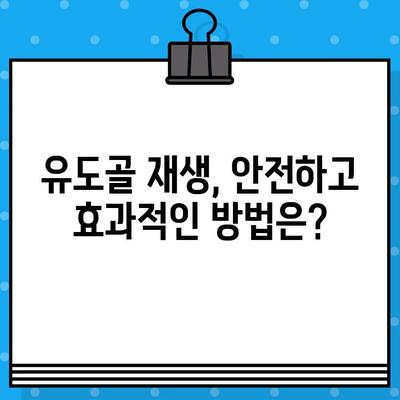 임플란트 성공을 위한 필수 과정, 유도골 재생의 모든 것 | 임플란트, 치과, 뼈이식, 골이식, 치료