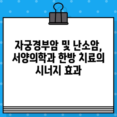 자궁경부암 및 난소암, 암 치료와 한방 치료 병행 | 암 치료 병원, 한방 병원, 통합 암 치료, 자궁경부암, 난소암