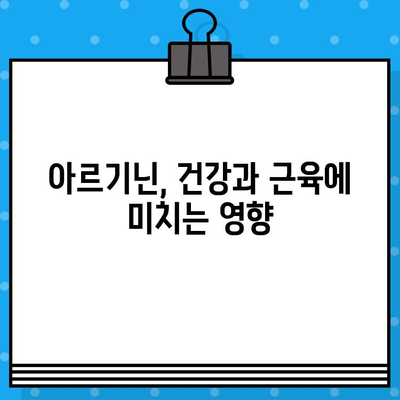 아르기닌의 효능과 작용 기전, 제품 비교 가이드 | 건강, 근육, 면역, 성기능, 제품 추천