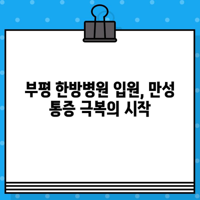 부평 한방병원 입원, 통증 회복의 지름길| 나에게 맞는 선택은? | 부평, 한방병원, 입원, 통증 치료, 척추, 관절, 한의학