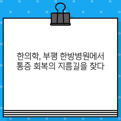 부평 한방병원 입원, 통증 회복의 지름길| 나에게 맞는 선택은? | 부평, 한방병원, 입원, 통증 치료, 척추, 관절, 한의학