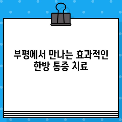 부평 통증 회복, 한방 치료의 효과를 경험하세요 | 부평 한방병원, 통증 치료, 한방 치료, 척추, 관절