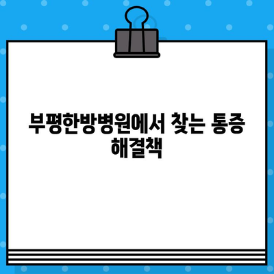 부평한방병원| 통증 회복, 안전하고 효과적인 선택 | 한방 치료, 통증 관리, 척추 질환, 관절 질환