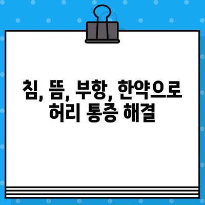 강서구 한방병원, 허리 통증 참지 말고! | 허리 통증 치료, 침, 뜸, 부항, 한약, 추천