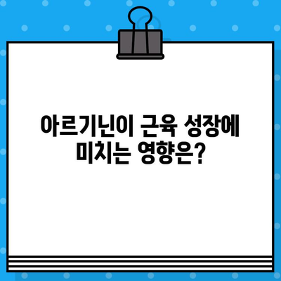 아르기닌| 근육 성장을 위한 솔루션? | 근육 증진 효과, 부작용, 복용 가이드