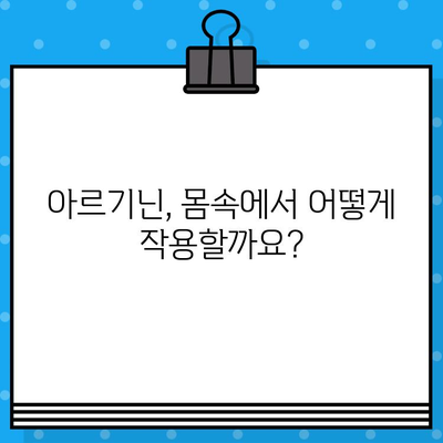 아르기닌 효능, 부작용 완벽 정리! 고함량 아르기닌 추천 & 주의사항 | 건강, 운동, 영양, 보충제