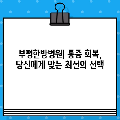 부평한방병원| 통증 회복, 당신에게 맞는 최선의 선택 | 한방 치료, 침구 치료, 추나 요법, 척추, 관절, 통증