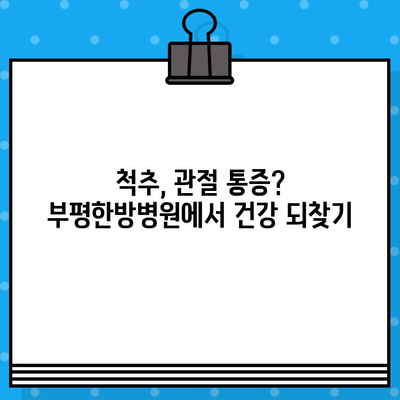 부평한방병원| 통증 회복, 당신에게 맞는 최선의 선택 | 한방 치료, 침구 치료, 추나 요법, 척추, 관절, 통증