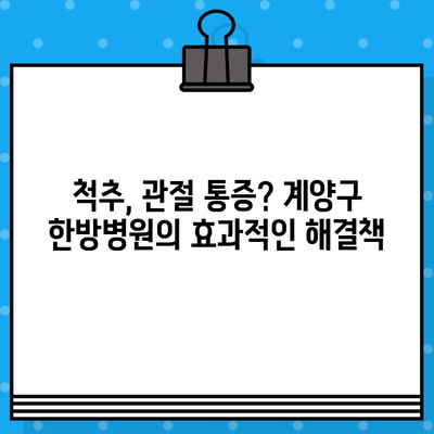 계양구 한방병원에서 만나는 섬세한 맞춤 케어 | 한방 치료, 건강 관리, 척추, 관절, 통증, 면역