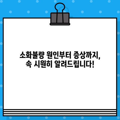 소화불량, 이젠 걱정 마세요! | 소화불량 전문 병원 찾는 꿀팁 & 추천 병원 목록
