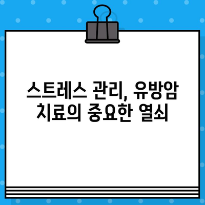 유방암 치료와 면역 관리| 건강한 회복을 위한 맞춤 전략 | 면역 강화, 영양 관리, 운동, 스트레스 해소