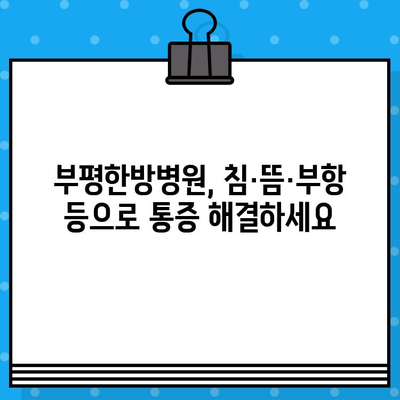부평한방병원| 통증 회복 위한 한의학적 치료 | 침, 뜸, 부항, 한약, 추나요법, 척추관절 통증, 만성 통증, 염증 치료