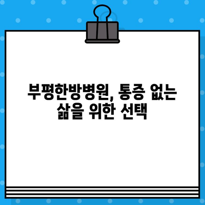 부평한방병원| 통증 회복 위한 한의학적 치료 | 침, 뜸, 부항, 한약, 추나요법, 척추관절 통증, 만성 통증, 염증 치료