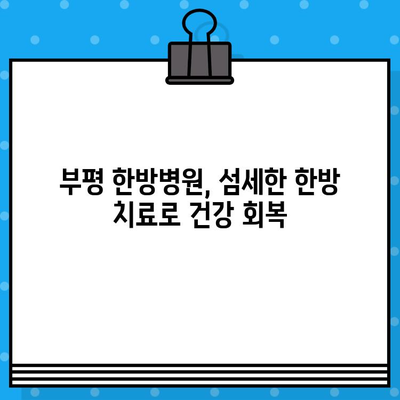부평 한방병원 통증 회복 치료| 다양한 질환별 맞춤 치료법 | 한방, 통증 관리, 침구 치료, 약침, 추나요법