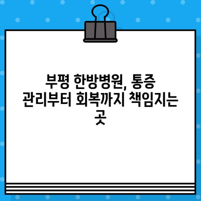 부평 한방병원 통증 회복 치료| 다양한 질환별 맞춤 치료법 | 한방, 통증 관리, 침구 치료, 약침, 추나요법