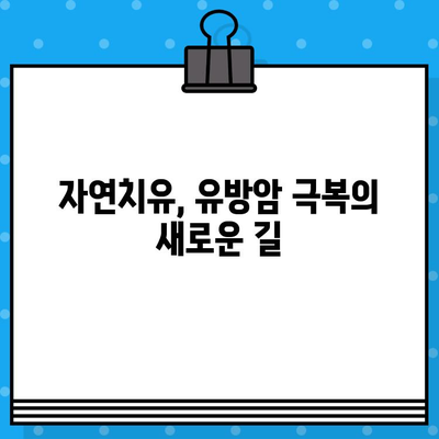유방암 요양, 면역 관리로 회복 증진! | 면역력 강화, 자연치유, 통합 암 치료, 유방암 요양 병원 추천