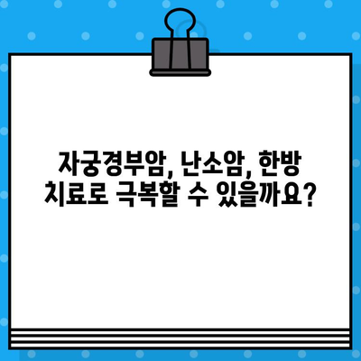 여성암 요양 및 한방병원| 자궁경부암, 난소암 치료를 위한 최적의 선택 가이드 | 여성암, 한방 치료, 병원 추천, 자궁경부암, 난소암