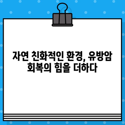 유방암 요양병원, 면역 관리로 회복의 길을 열다 | 면역력 강화, 건강 회복, 유방암 치료
