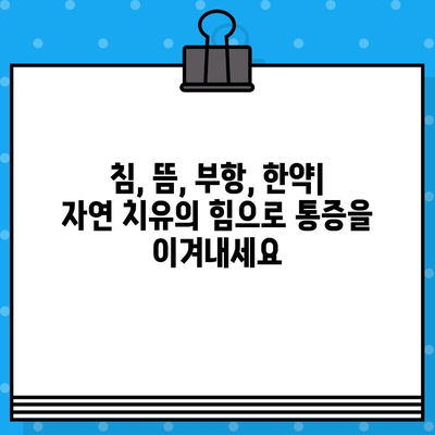 부평 한방 병원| 통증 회복의 선택 | 침, 뜸, 부항, 한약, 추나요법, 근골격계 질환, 만성 통증