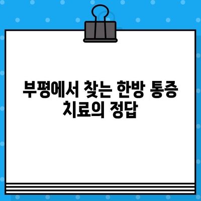 부평 한방병원| 통증 회복, 당신의 선택은? | 부평, 한방, 통증, 치료, 추천