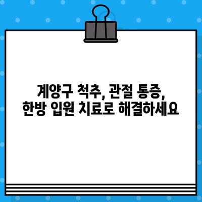 계양구 한방병원 입원, 면밀한 케어로 통증 해결| 척추, 관절 통증 전문 | 계양구, 한방병원, 입원, 통증 치료, 척추, 관절