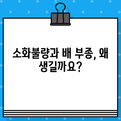 소화불량, 배 부종과 불편함 완화| 나에게 맞는 병원 찾기 | 소화불량, 배 부종, 소화기 건강, 병원 추천