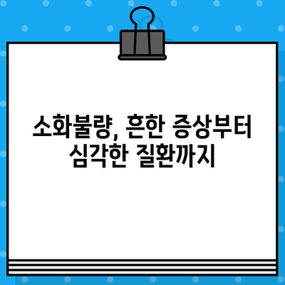 소화불량, 병원 가기 전에 해결할 수 있을까? | 증상, 원인, 해결책, 비용