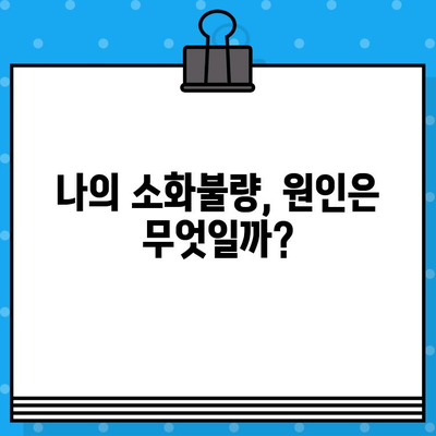 소화불량, 병원 가기 전에 해결할 수 있을까? | 증상, 원인, 해결책, 비용