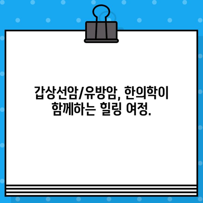 갑상선암/유방암 여성 환자를 위한 한방 치료 & 요양 병원 찾기| 맞춤 정보 가이드 | 암, 한의학, 여성 건강, 요양