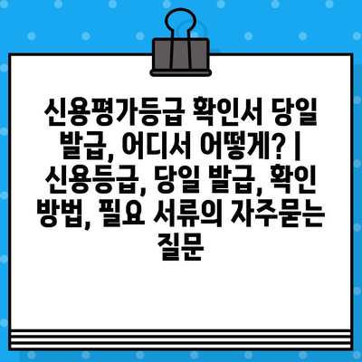 신용평가등급 확인서 당일 발급, 어디서 어떻게? | 신용등급, 당일 발급, 확인 방법, 필요 서류