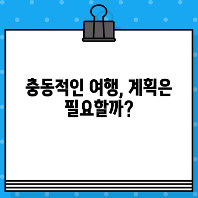 고양이 사진 보다 먼저? 갑작스런 항공권 예매의 비밀 | 여행, 고양이, 충동, 계획