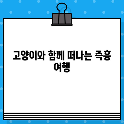 고양이 사진 보다 먼저? 갑작스런 항공권 예매의 비밀 | 여행, 고양이, 충동, 계획