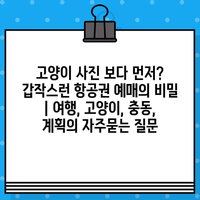 고양이 사진 보다 먼저? 갑작스런 항공권 예매의 비밀 | 여행, 고양이, 충동, 계획