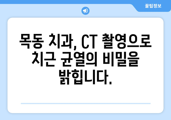 목동 치과에서 CT 촬영으로 잠재적 치근 균열 진단하기| 정확한 진단을 위한 필수 가이드 | 치근 균열, CT 촬영, 목동 치과, 진단