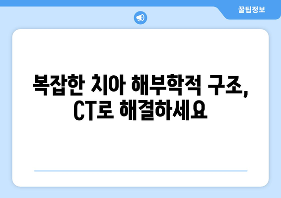 목동치과 근관치료 계획, CT촬영이 왜 중요할까요? | 근관치료, 치과 CT, 목동 치과