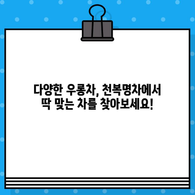 천복명차 우롱차, 중국차 쇼핑은 어려워도 마시는 건 쉽다! | 천복명차, 우롱차, 중국차, 쇼핑, 추천