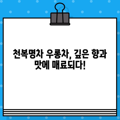 천복명차 우롱차, 중국차 쇼핑은 어려워도 마시는 건 쉽다! | 천복명차, 우롱차, 중국차, 쇼핑, 추천