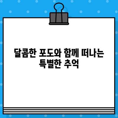 안산 대부포도축제| 달콤한 포도와 함께 떠나는 가을 여행 | 안산 가볼만한 곳, 축제, 포도 맛집, 대부도 여행