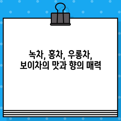 녹차, 홍차, 우롱차, 보이차 비교분석| 4가지 차의 매력 알아보기 | 차 종류, 효능, 맛 비교