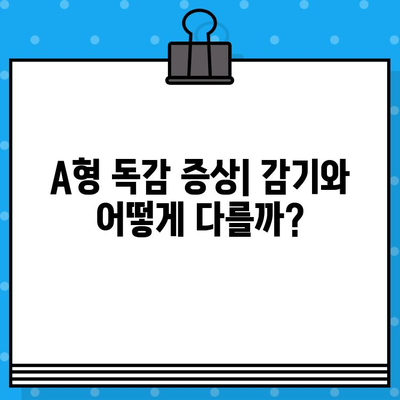 A형 독감 백신| 건강 지키는 필수 정보 | 예방 접종, 증상, 치료, 주의사항