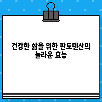 판토텐산 하루 권장량, 효능, 섭취 방법, 주의사항 완벽 가이드 | 비타민 B5, 건강, 영양