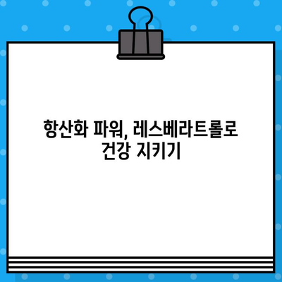 혈관 건강 지키는 폴리페놀 영양소, 레스베라트롤의 놀라운 효능 | 레드와인, 혈관 건강, 항산화, 노화 방지