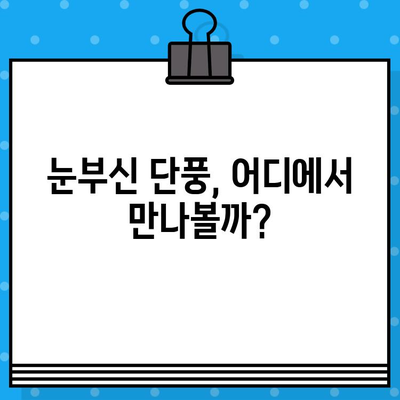 가을 단풍 여행, 어디로 갈까? | 단풍 명소 추천, 단풍 구경, 단풍놀이